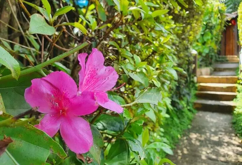 Majatalo Pousada Donna Rose
