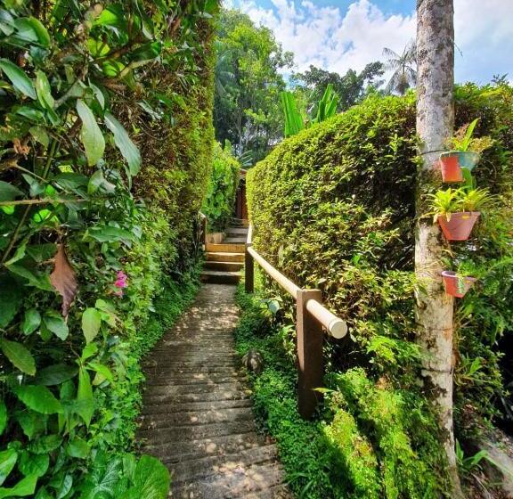 بنسيون Pousada Donna Rose