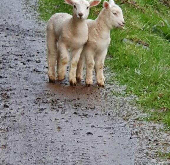 צימר Glenwood Akaroa Bush Retreat   Kanuka Hut