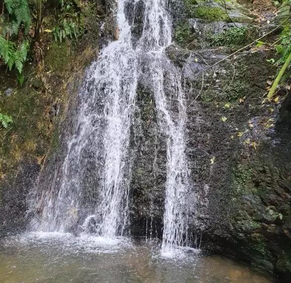 Aamiaismajoitus (B&B) Glenwood Akaroa Bush Retreat   Kanuka Hut