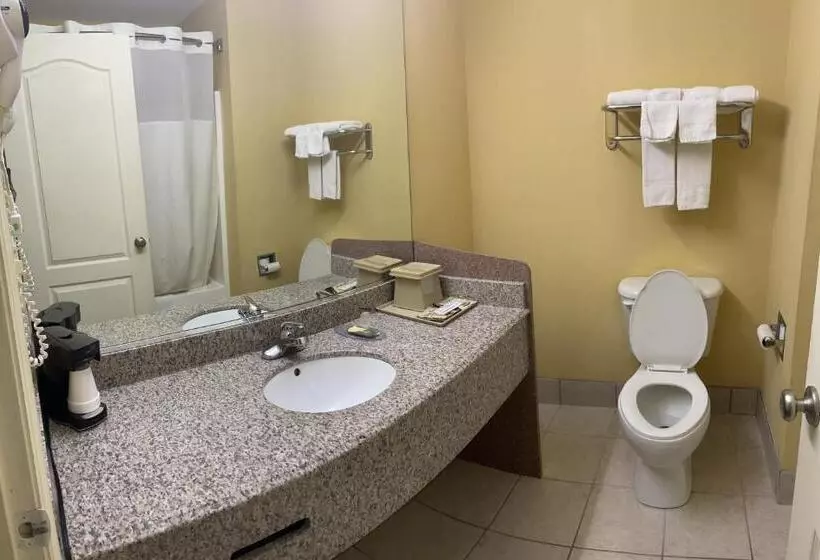 Hotelli Mountain Inn & Suites  Dunlap Tn