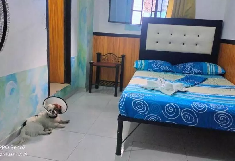 ホテル Plaza Confort Inn