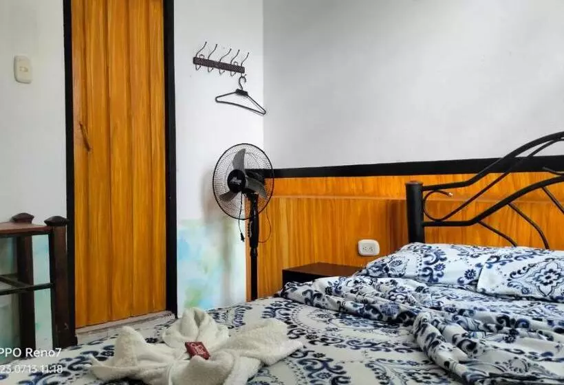 ホテル Plaza Confort Inn