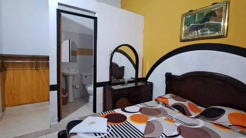 ホテル Plaza Confort Inn