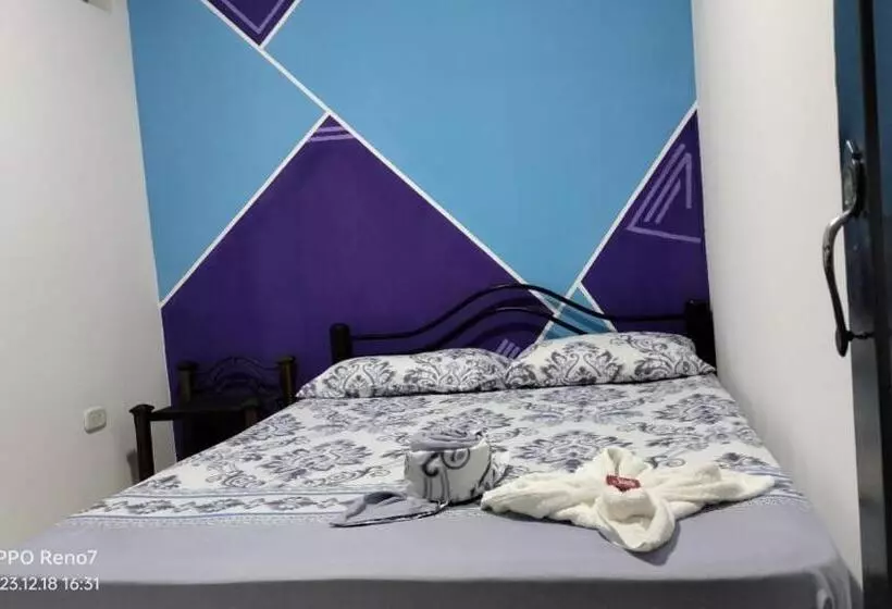 ホテル Plaza Confort Inn