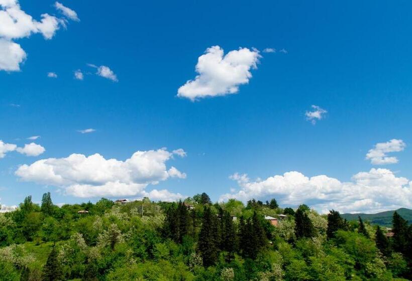 Pension (Hôtel basse catégorie) Bagrat Guest House