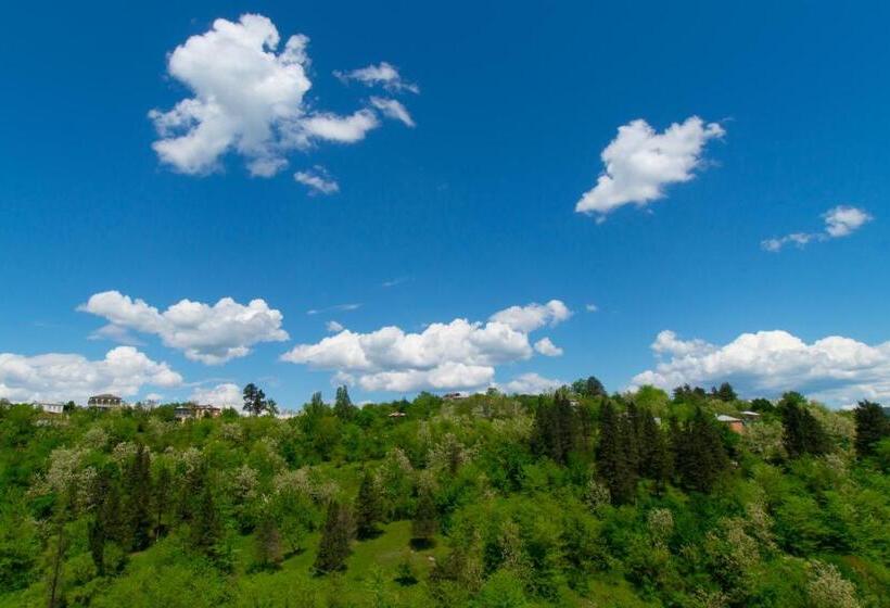 Pension (Hôtel basse catégorie) Bagrat Guest House