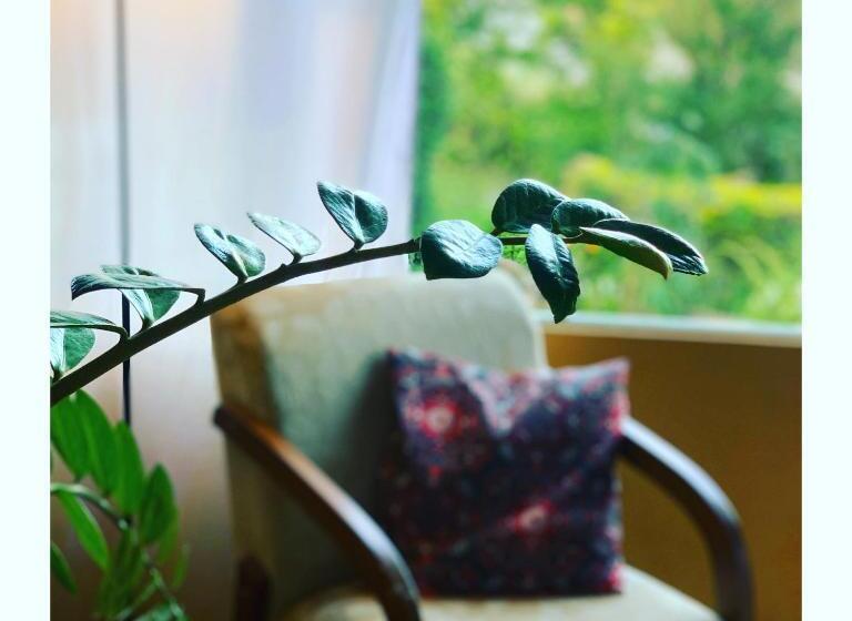 Pensjonat Pousada Café Com Morada  Cama E Café