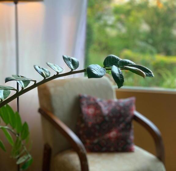 Pensjonat Pousada Café Com Morada  Cama E Café