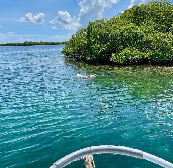 تختخواب و صبحانه Eden Jungle Lodge