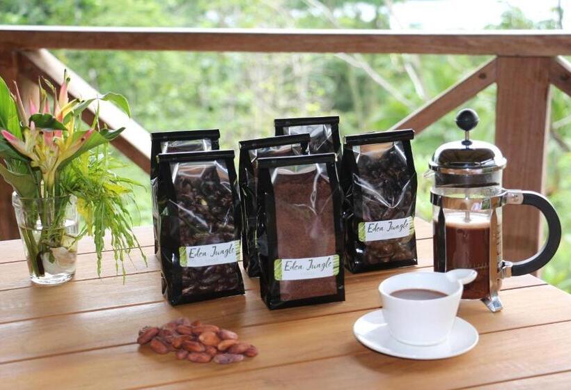 تختخواب و صبحانه Eden Jungle Lodge