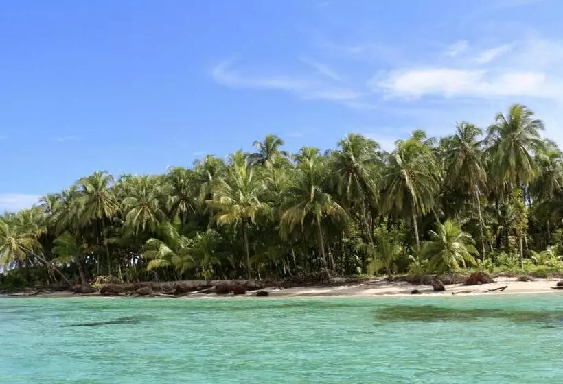 ベッドアンドブレックファースト Eden Jungle Lodge