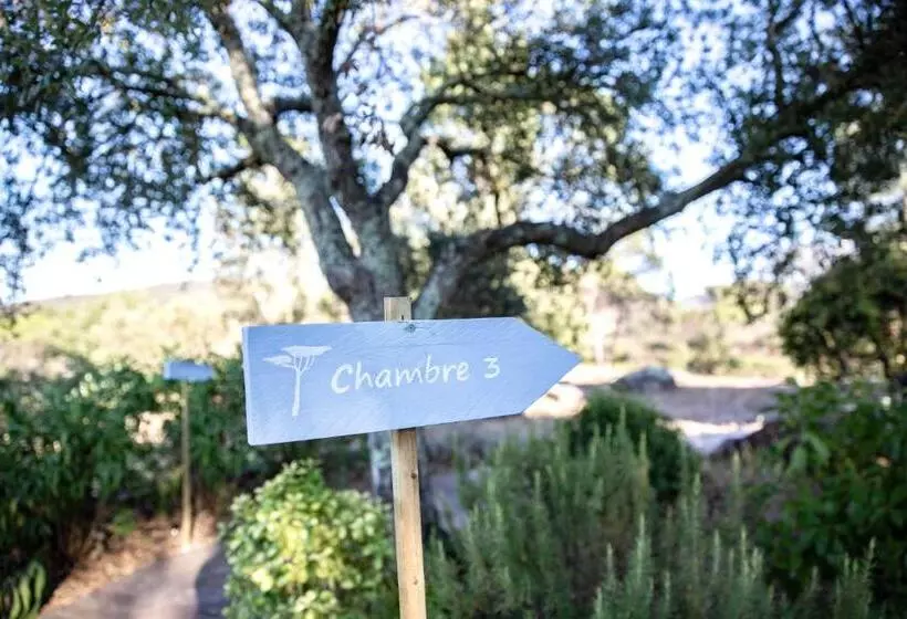 ベッドアンドブレックファースト Le Mas Du Rouquan