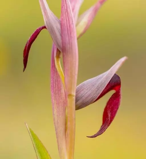 ベッドアンドブレックファースト Le Mas Du Rouquan