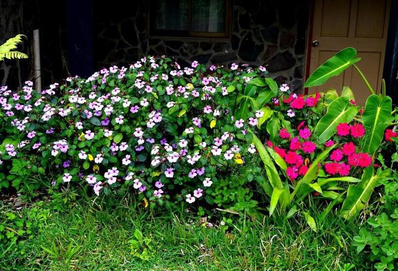 فندق Miztli Lodge & Adventure