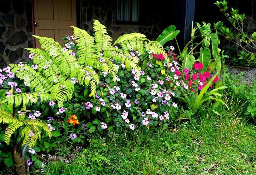 فندق Miztli Lodge & Adventure