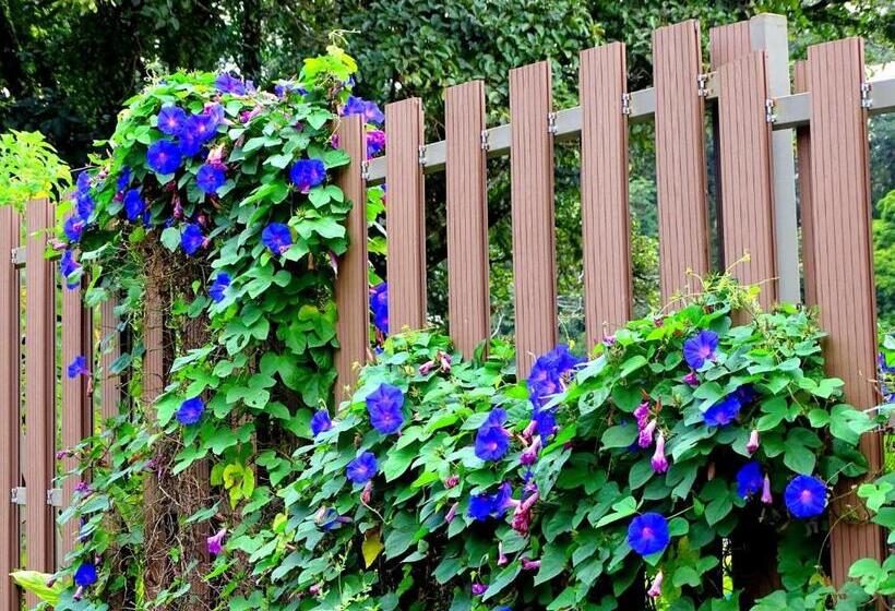 فندق Miztli Lodge & Adventure