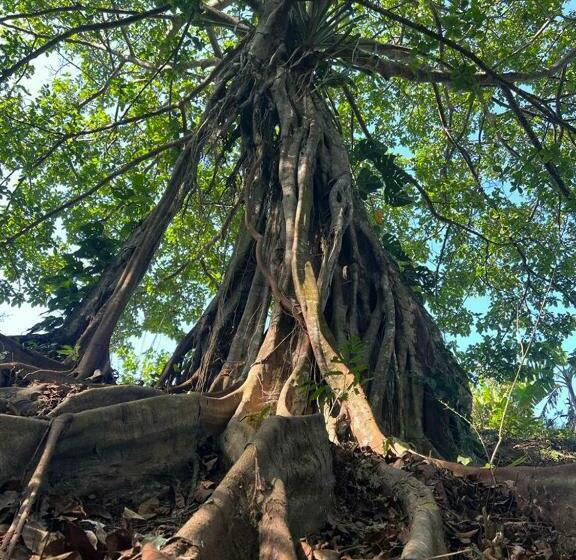 هتل Tawaca Green Zone