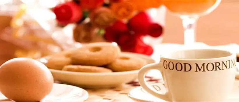 Amelia Oceanfront Bed And Breakfast