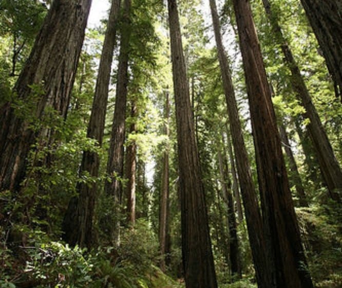 مبيت وإفطار Brewery Gulch Inn & Spa