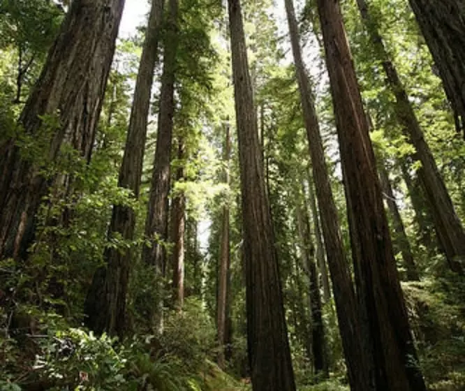 민박 Brewery Gulch Inn & Spa