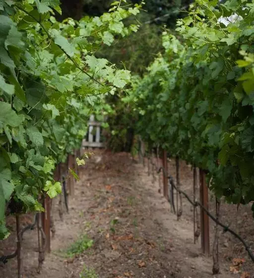 민박 Craftsman Inn