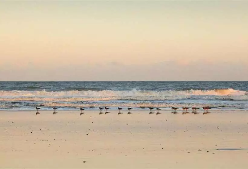 住宿加早餐  Elizabeth Pointe Lodge