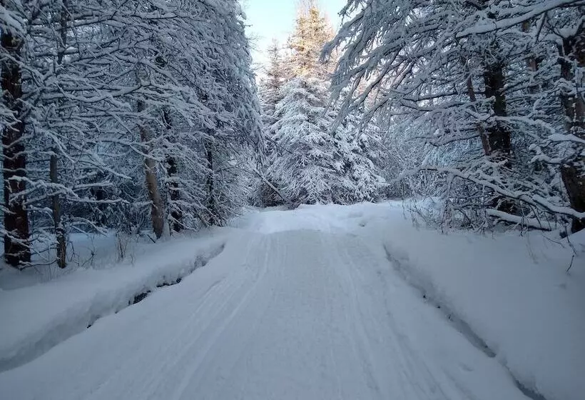 צימר Hatcher Pass Cabins