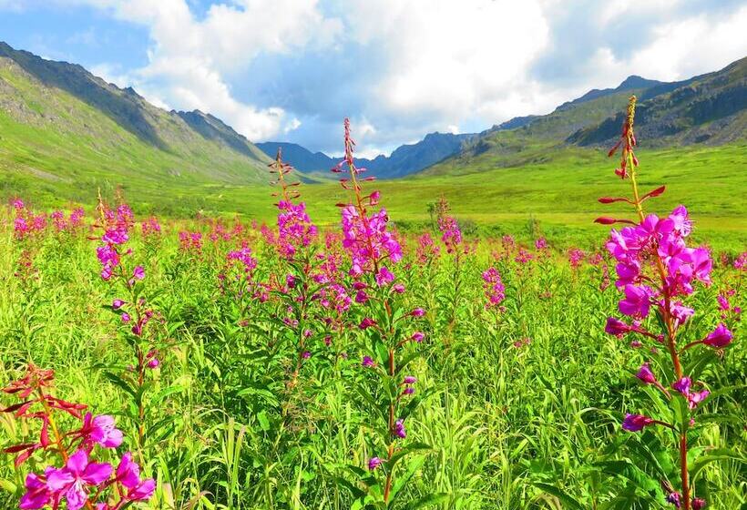 צימר Hatcher Pass Cabins