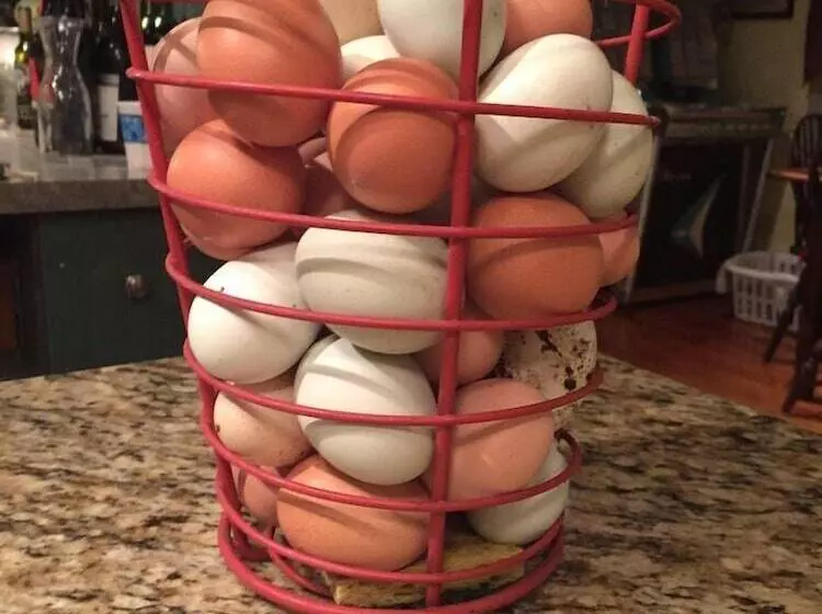 Bed and Breakfast The Inn At Stony Creek