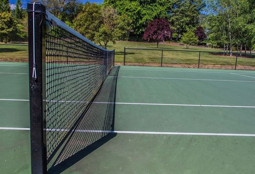 住宿加早餐  The Willows