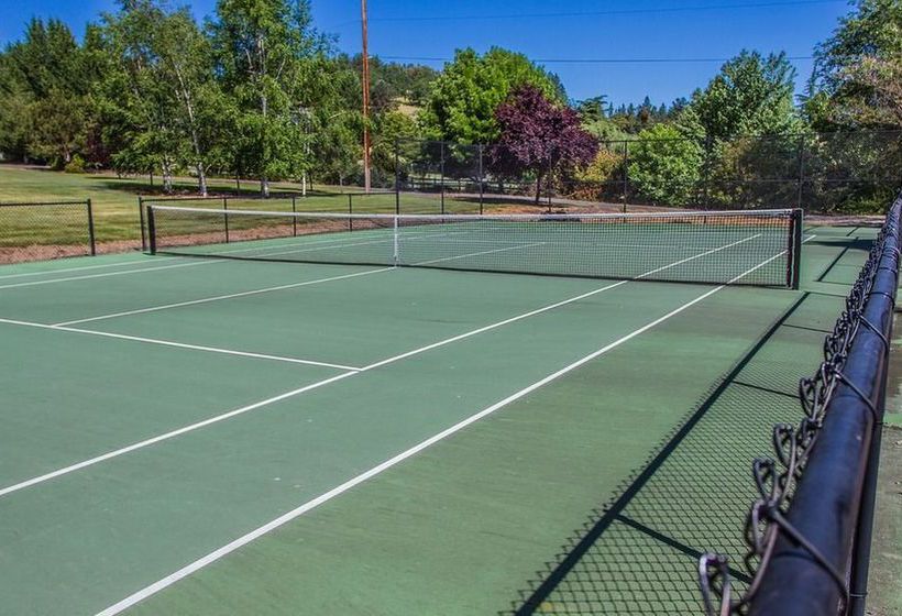 住宿加早餐  The Willows