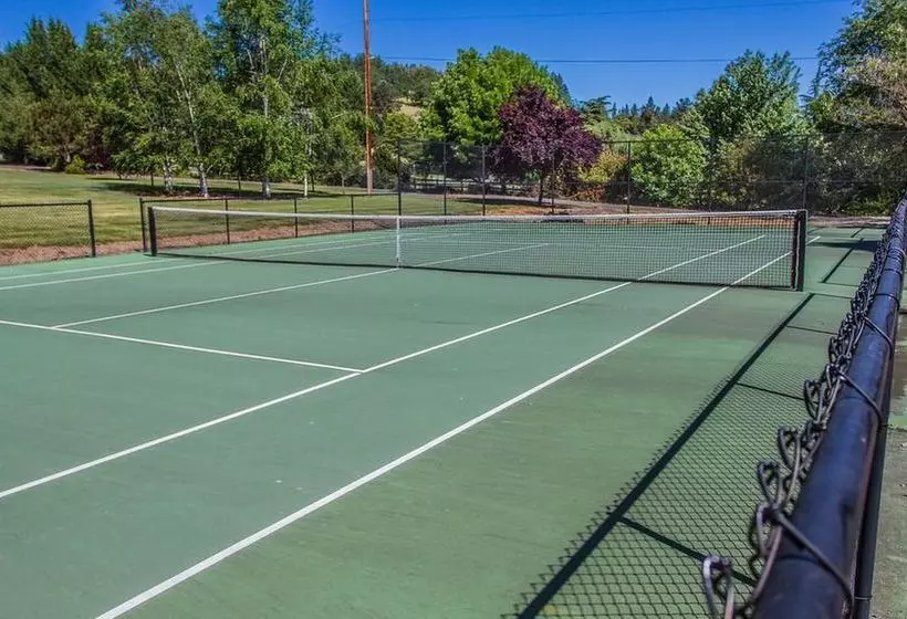 ベッドアンドブレックファースト The Willows