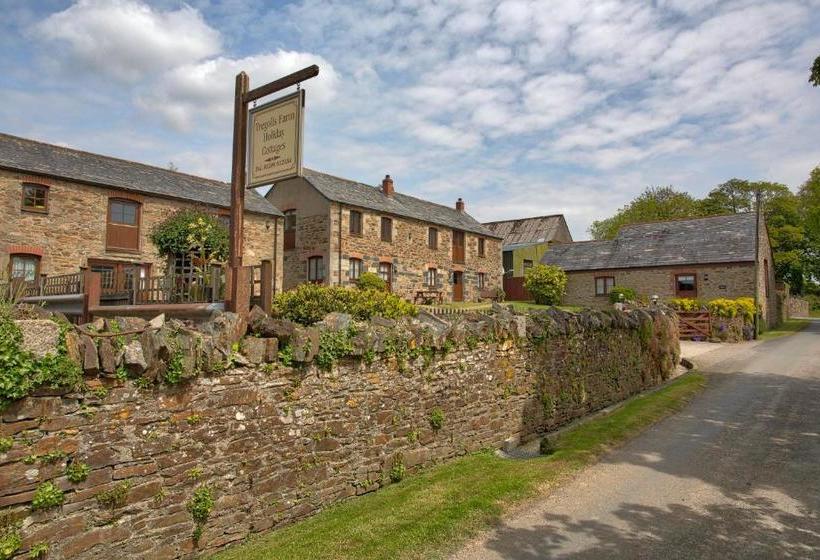 Bed and Breakfast Tregolls Farm Bed&Breakfast