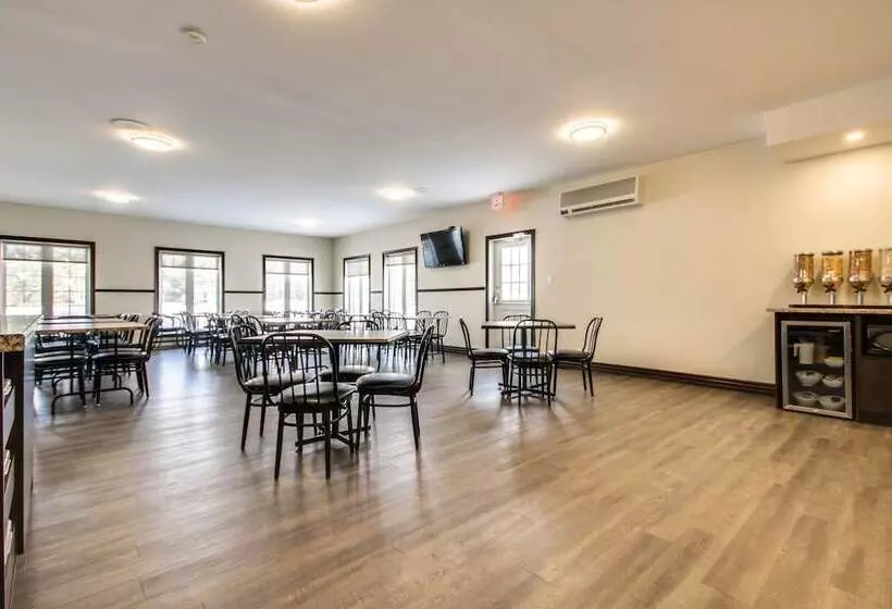 酒店 Hôtel Marineau Shawinigan