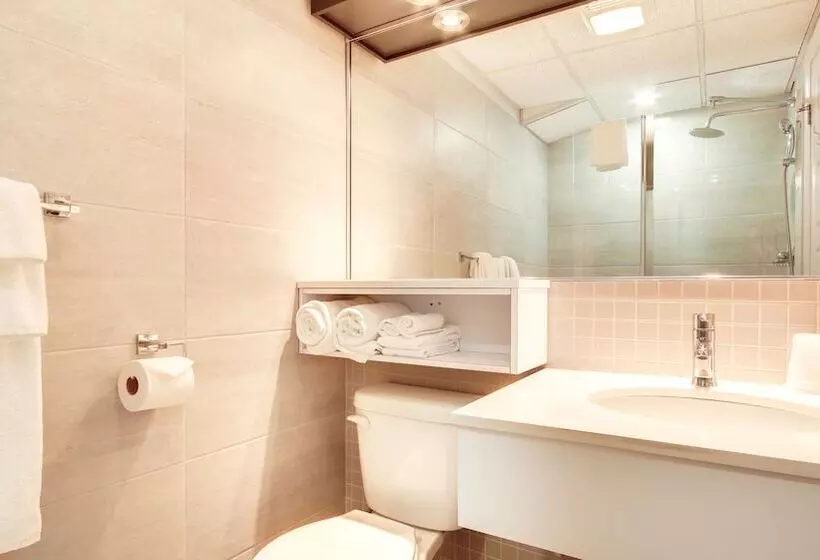 酒店 Hôtel Marineau Shawinigan