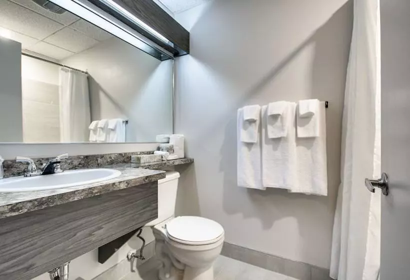 酒店 Hôtel Marineau Shawinigan