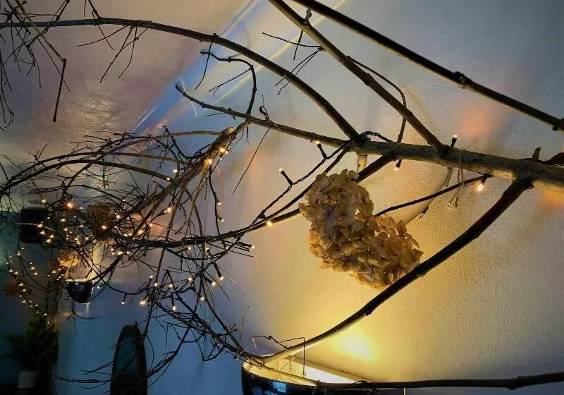 Hotel Thorverton Arms