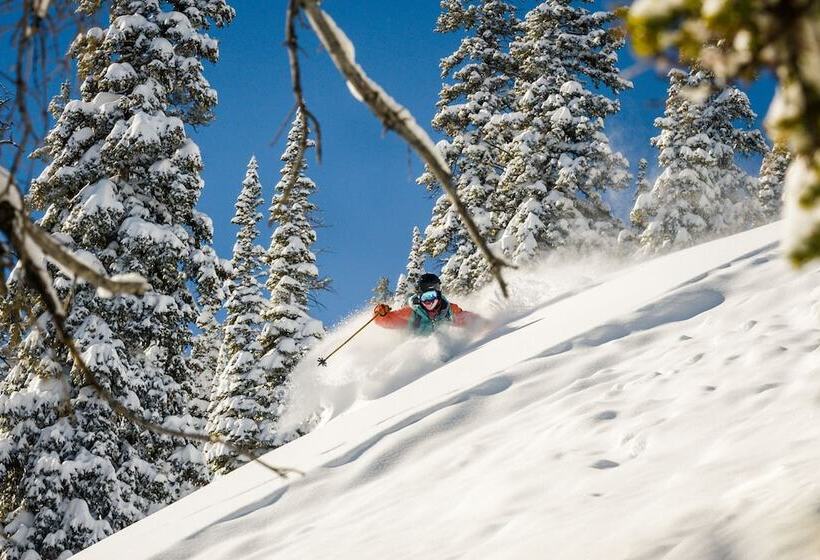 Отель Westwall Lodge