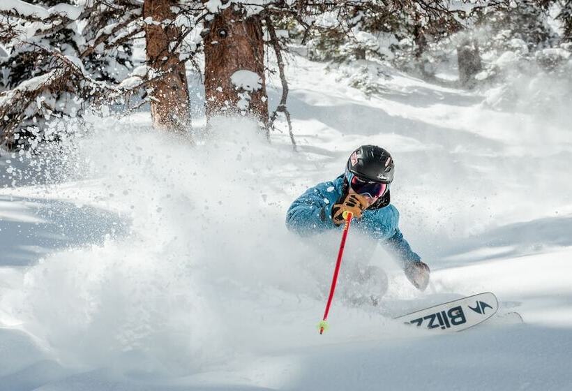 Отель Westwall Lodge