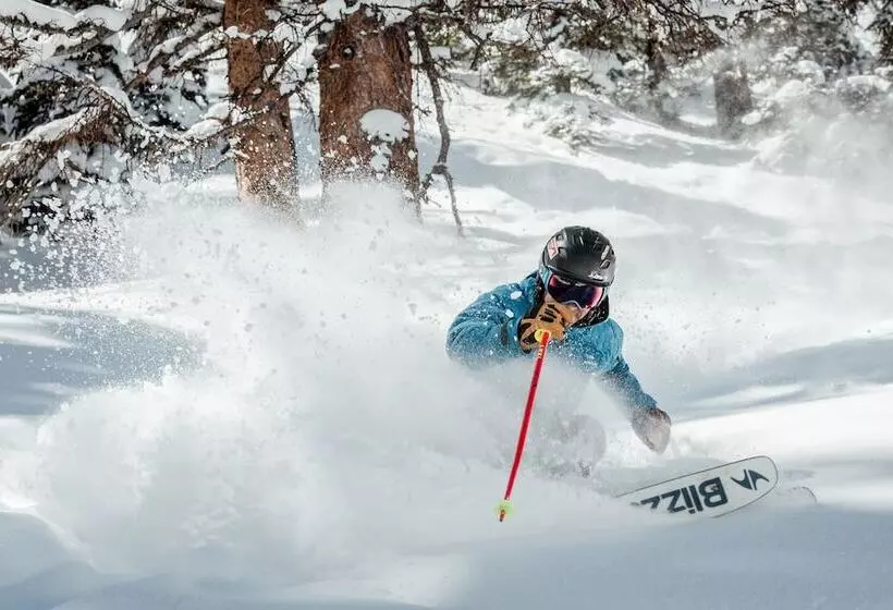 酒店 Westwall Lodge