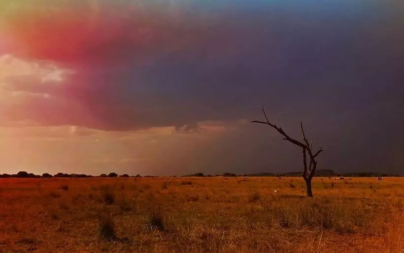 Hotel Zwahili Game Lodge & Spa