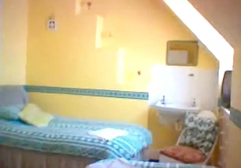 Pensjonat Bristol House