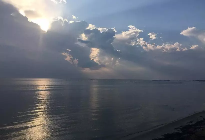 The Baywood Bed & Breakfast