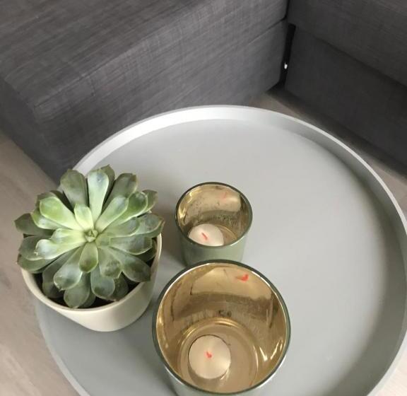 ベッドアンドブレックファースト Blossombed