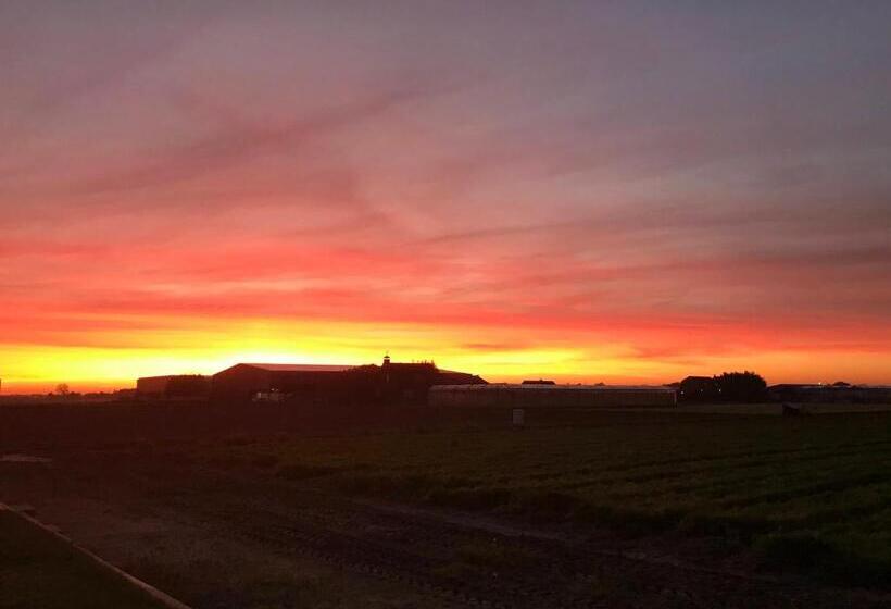 ベッドアンドブレックファースト Blossombed