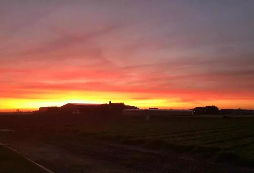 Aamiaismajoitus (B&B) Blossombed