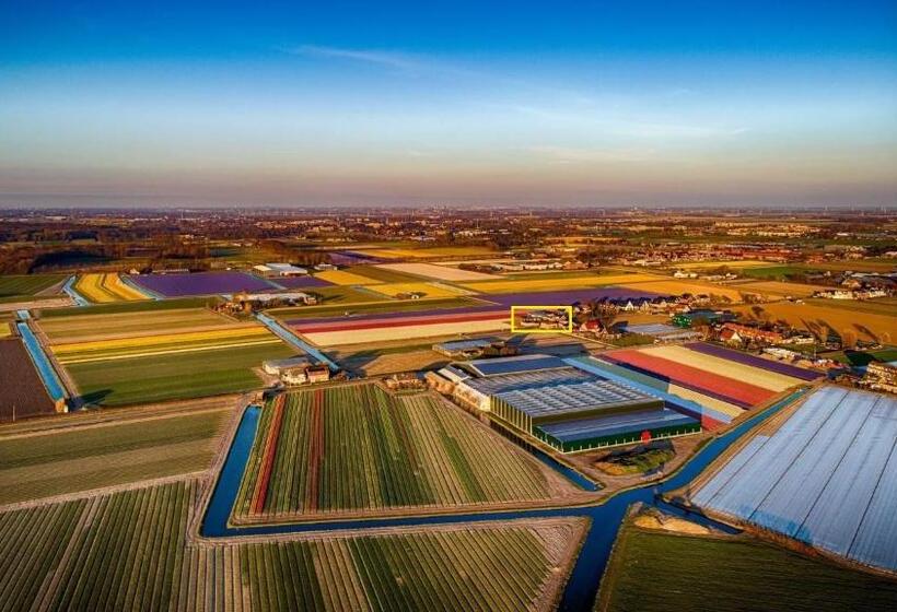 ベッドアンドブレックファースト Blossombed