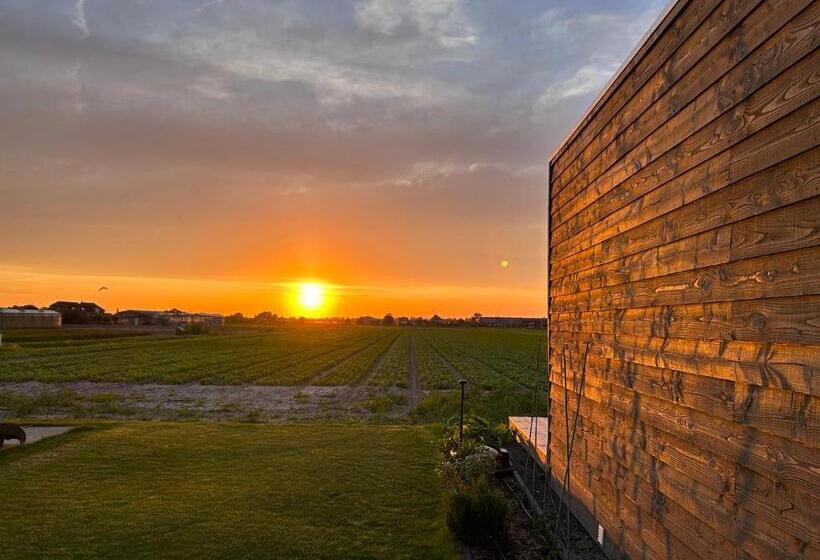 ベッドアンドブレックファースト Blossombed