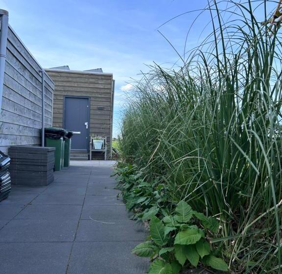 ベッドアンドブレックファースト Blossombed